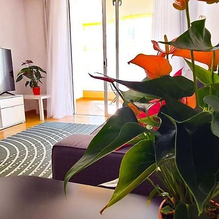 Apartamento Radazul Sea View Eksteriør billede